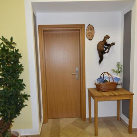 Apartments&Rooms kod Eli Ravna Gora Exterior foto